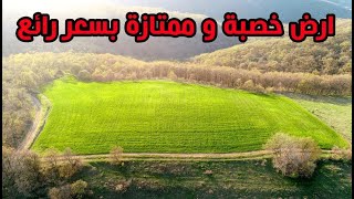 ارض زراعية للبيع في بورصة ب مساحة 11 الف متر بسعر 45.000 الف دولار