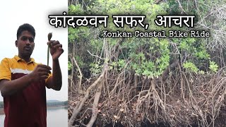 कांदळवनाची सफर आचरा | Mangrove Forest Safari Jamdul, Kandalvan Aachara | Konkan Coastal Ride Part 23