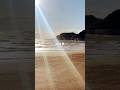 湘南 光 サザン 湘南 光 サザン