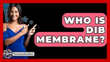 Who Is Dib Membrane? - The Animation Reel