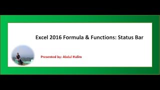 Excel 2016 Formula & Functions : Status Bar