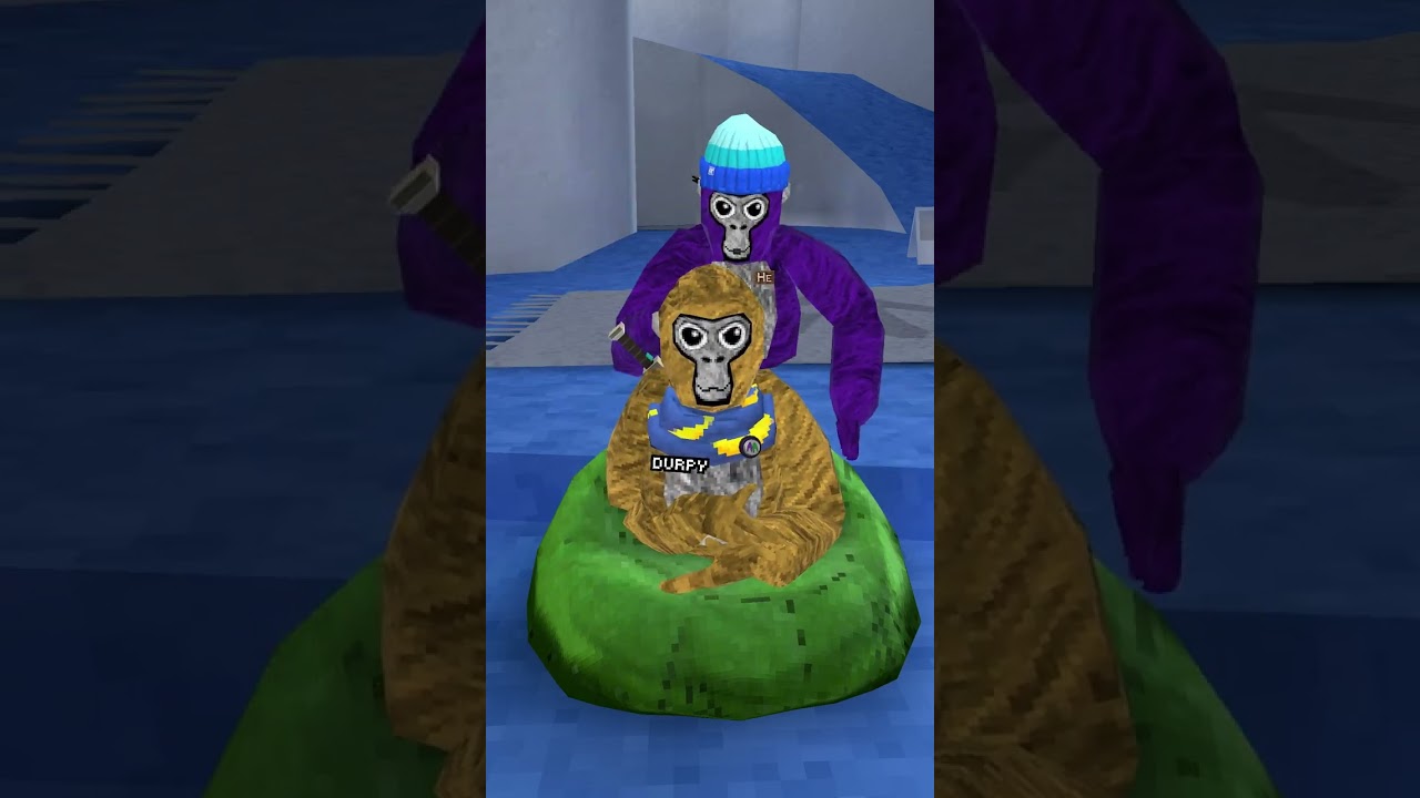 Он испортил мне волосы 