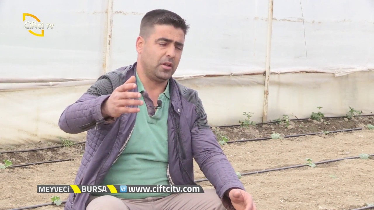 Meyveci - Kabak Yetiştiriciliği Hakkında Genel Bilgiler / Bursa