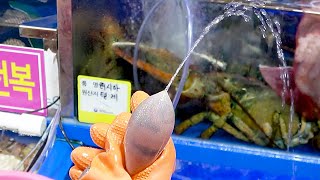 노량진 수산시장 해산물 쫄깃 달콤 개불 Sea Food S Worm Fish Gaebul Korean Street Food