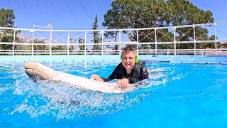 Dolfijntherapie in Turkije ( Noud )
