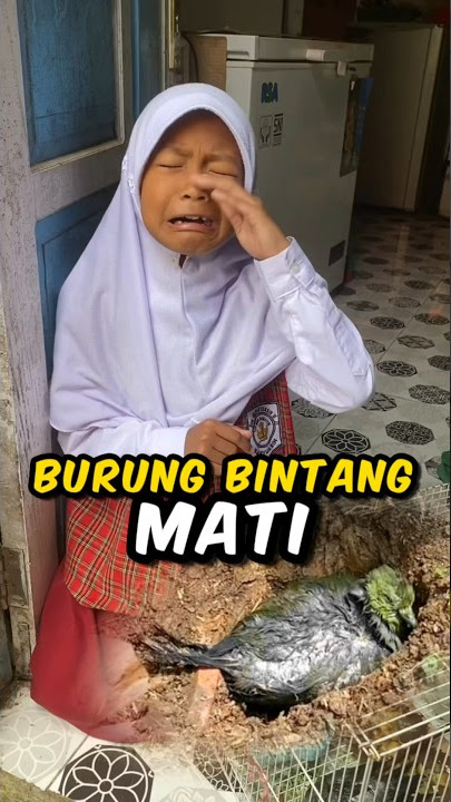 BURUNG BINTANG MATI #OPPOReno10Series #NgeShortsBarengOPPO #JakartaBanget @OPPOIndonesia