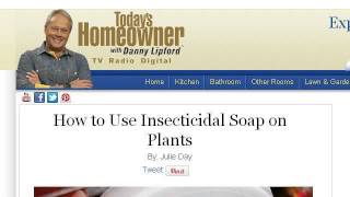 How-To Control Leafhoppers On Outdoor Plants
