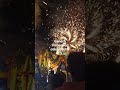 Jayanagar youth association ganesh immersion short-1
