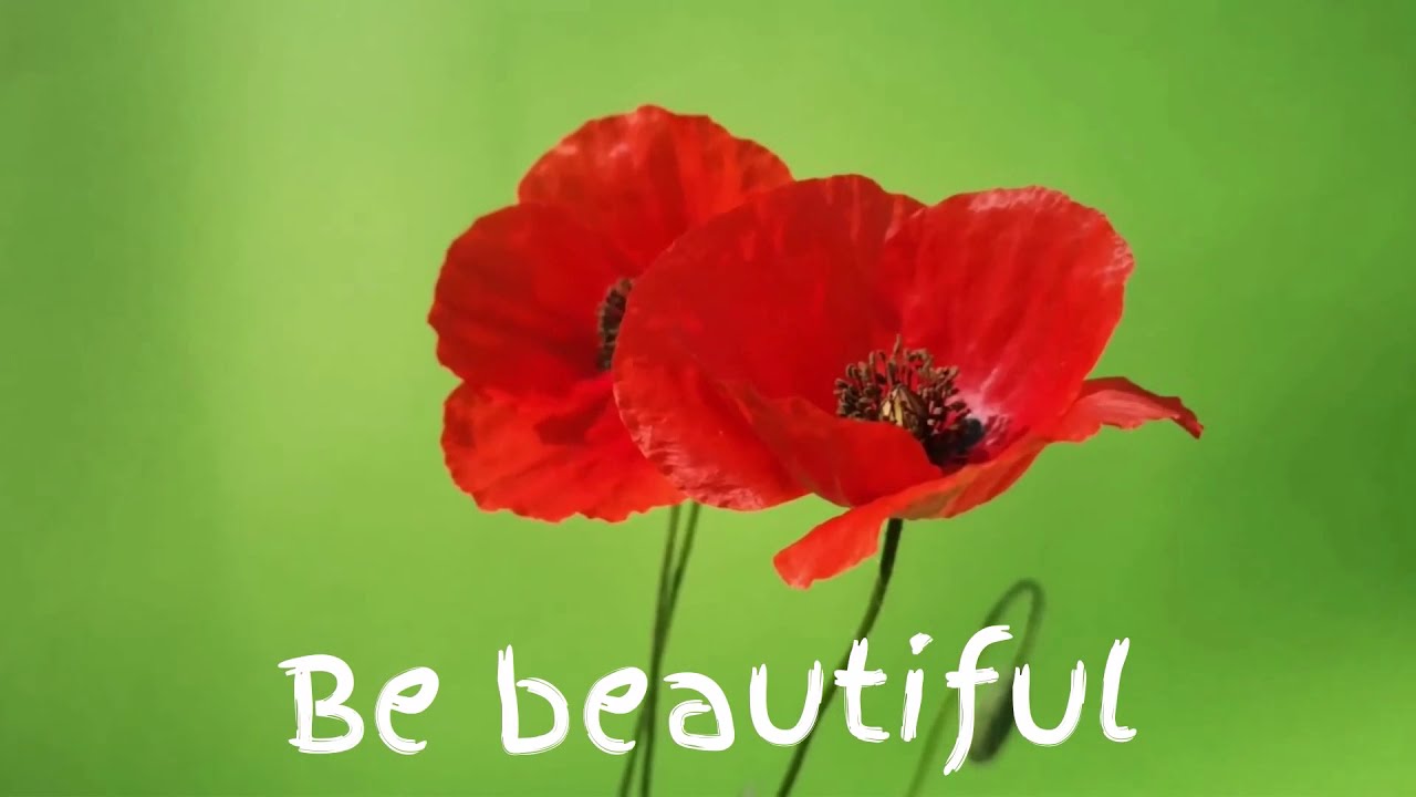 MOTIVATIONAL MUSIC VIDEO | YOU'RE BEAUTIFUL, BE BEAUTIFUL! | SELF-EMPOWERMENT
