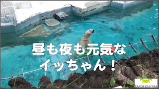 21年 天王寺動物園を割引やクーポンで安くお得に楽しむ方法 チケットを格安料金で購入 ビリオンログ Billion Log 21年 天王寺動物園を割引やクーポンで安くお得に楽しむ方法 チケットを格安料金で購入 ビリオンログ Billion Log