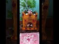 Tulasi kalyanam #shortsvideo #shortsindia #shorts #shortsviral #dhinamummanamum
