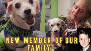 BRINGING HOME OUR NEW RESCUE DOG! 🐾 Meet Gazpacho the Maltese