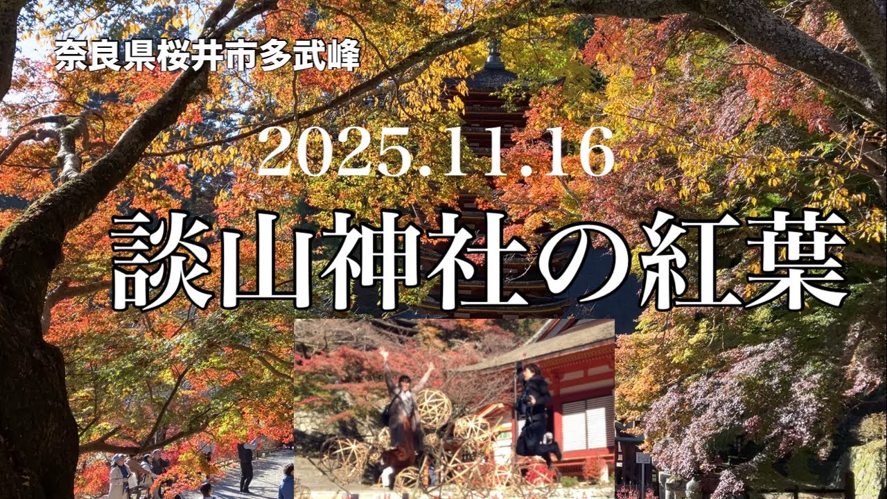 談山神社の紅葉(2025.11.16) #奈良#桜井市 