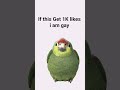 please don't like bro #memes #shorts