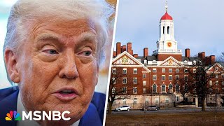 'Damage has already been done': Harvard student body president speaks out on Trump threats