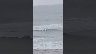 little grinding groms #waveriders surfing is life
