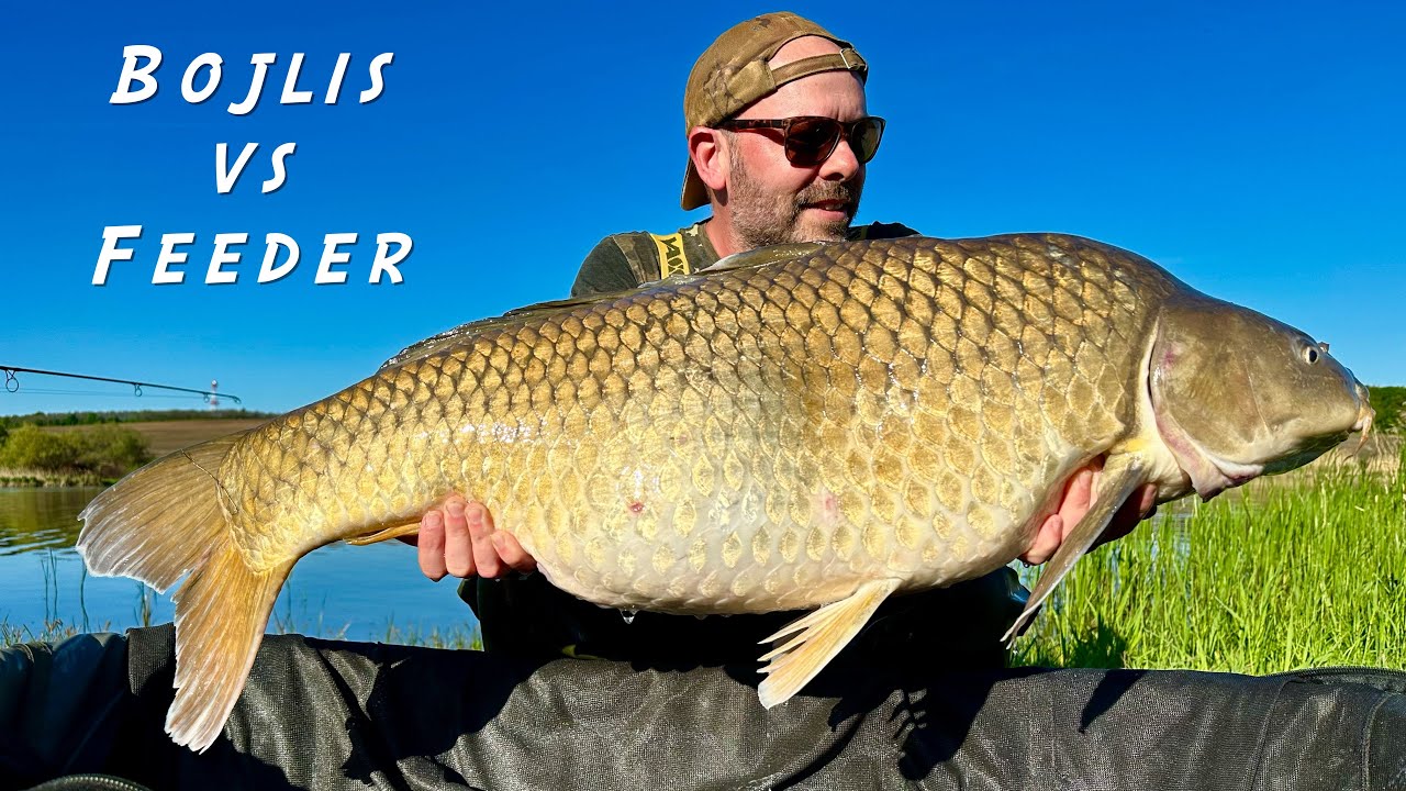 Bojlis vs Feeder: örömpeca egyesületi tavon | Palotás