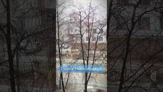 2 мая, снежный весенний денёк ❄❄❄ #2024 #catcut #видео #весна #нск54
