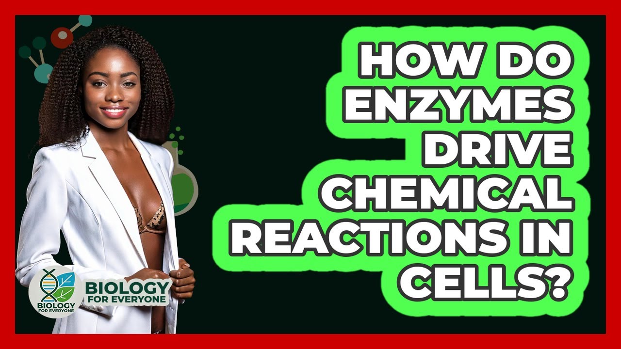 How Do Enzymes Drive Chemical Reactions In Cells? - Biology For Everyone