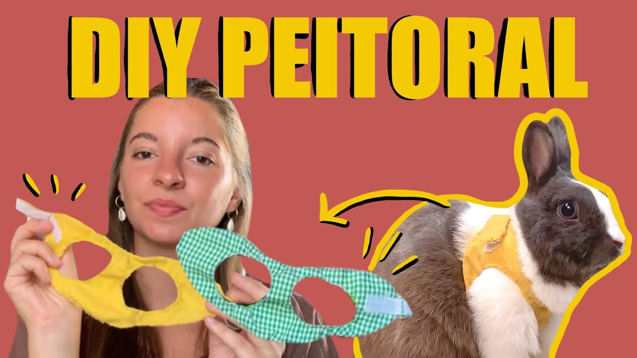COMO FAZER PEITORAL/ARNÊS PARA COELHOS-DIY