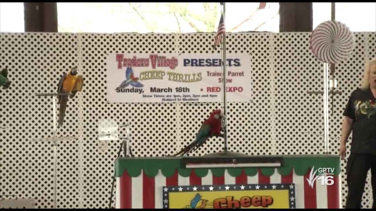 Grand Prairie is FUNderful Traders Village YouTube