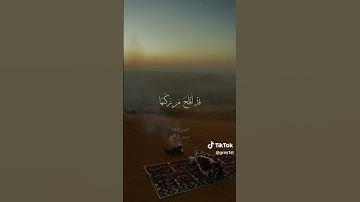 حسين ال الشيخ - سورة الشمس