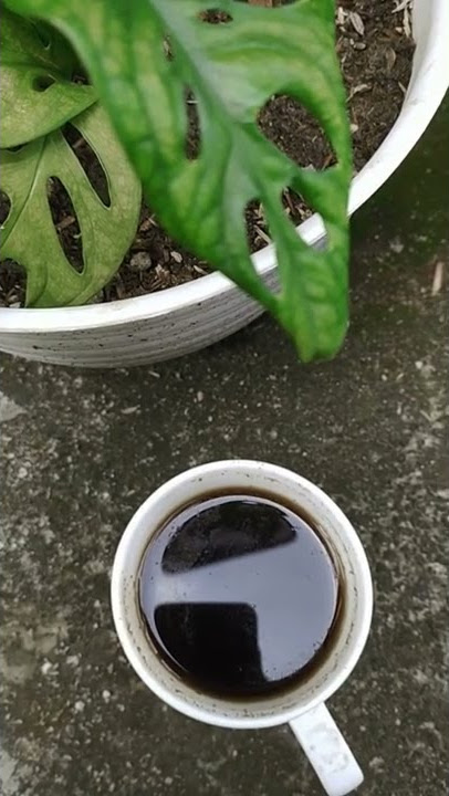 Story wa Ngopi, Senin 21 Maret 2022