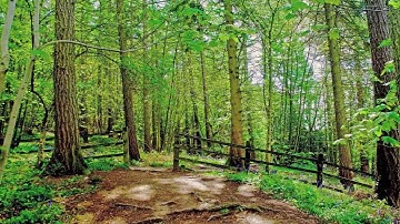 Tao Te Ching by Lao Tzu Chapter 15, Fluid as melting ice