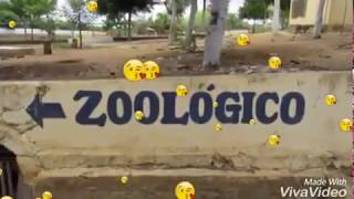 Zoológico De São Francisco Em Canindé-Ce.