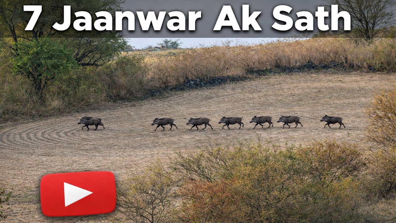 7 Jaanwar Ak Sath | Subah Jungle Mein Janwaron Ka Jhund | Village Hunting Scene 2026