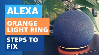 Celebrity Fix Alexa / Echo Orange Light Ring Wealth