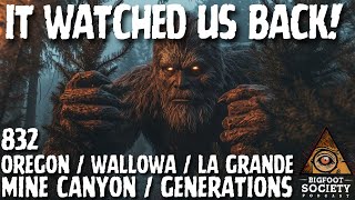 It Was Right Across the Road: Bigfoot in Wallowa | Archives | Bigfoot Society 832 | Ad-Free
