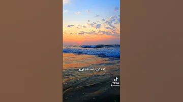 حسين جسمي روح انا راضي بغيابك يا حياتي Shorts 