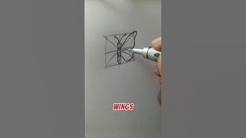 Simple Butterfly: ✅ | Actually Symmetrical: IMPOSSIBLE 😭 #foryou #art #shorts #howtodraw #awesome