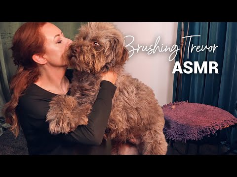 ASMR Dog Brushing 🌟 Trevor 🌟 Grooming Sounds & Cuddles