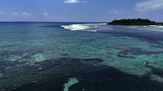EQ Surf Retreat Maldives – Surf Season Highlights (F1, Mushroom, Veyvah)