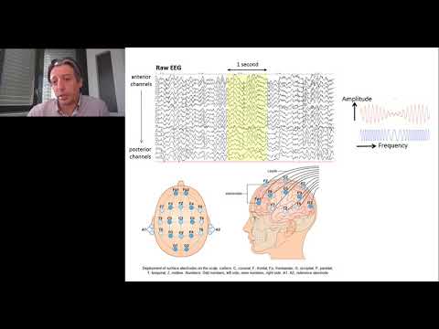 Video: Toetanud Neurofüsioloogid: Kuidas 