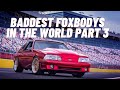 Baddest Foxbodys in the world part 3