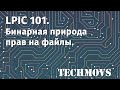 1. LPIC 101. Бинарная природа прав на файлы.