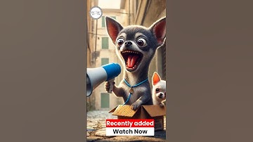 Chihuahua gets adopted!! #meme #memes #aisenseiyt #aiart #ai