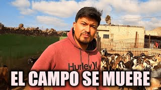 El CAMPO SE VA MURIENDO LENTAMENTE, nos cuenta este JOVEN COLOMBIANO.