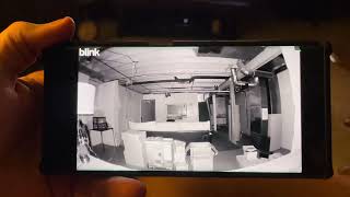 IMG 5667