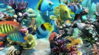 Sim Aquarium Scene 3 (4K)