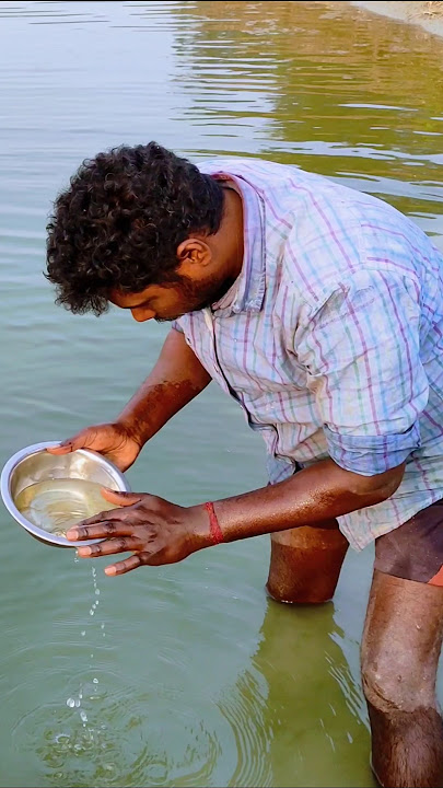 Download lagu how to checking fish spawn in pond #spawn #spawnfarming