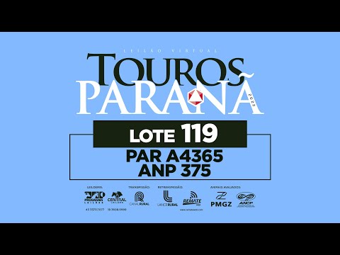 LOTE 119 ANP 375 PAR A4365