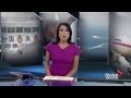 Still sign Malaysia Airlines Flight