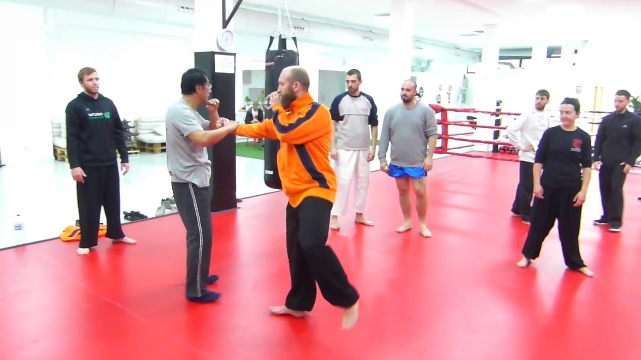 Luo DeXiu en Valencia 2017, Xing Yi Quan