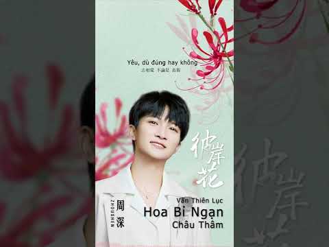Video [Vietsub/Pinyin] Hoa Bỉ Ngạn #彼岸花 - Châu Thâm #周深 |... - youtube