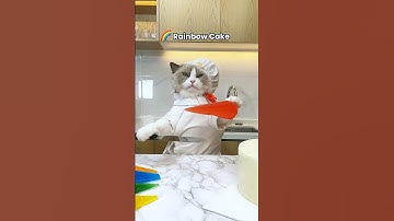 🌈🍰 Puff is whipping up a magical rainbow cake! Taste the colors! #RainbowBaking #thatlittlepuff