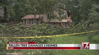 Tree falls, damages 2 homes as heavy storms move through Triangle